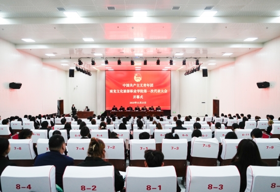 共青团南充文化旅游职业学院第一次代表大会召开