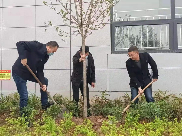 南充文化旅游职业学院开展义务植树活动